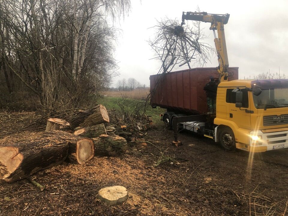 Container LKW Ladekran