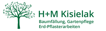 Baumfällung Hildesheim